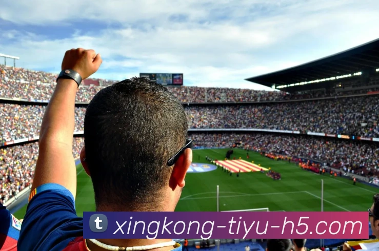 星空体育服务体系