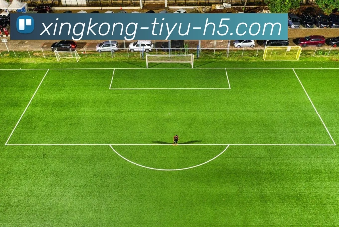 多媒体互动体验